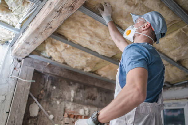 Best Geographic-Specific Insulation Services in Kiln, MS